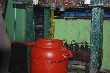 Villa �/en/au Sami (Kefallinia)ou appartement ou maison de vacances