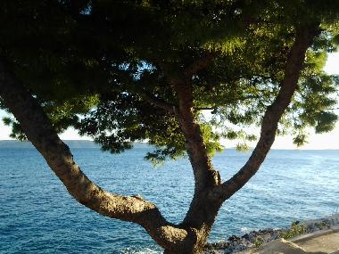 Appartement de vacances /en/au Okrug Gornji (Splitsko-Dalmatinska)ou appartement ou maison de vacances