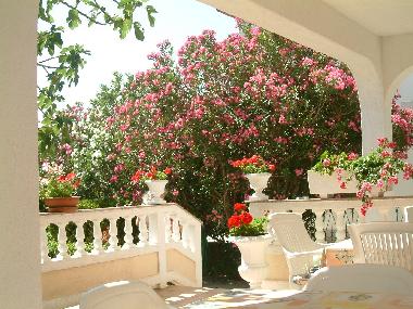 Appartement de vacances �/en/au Palit (Primorsko-Goranska)ou appartement ou maison de vacances