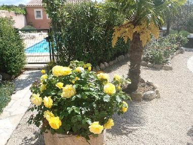 Maison de vacances /en/au BEDOIN (Vaucluse)ou appartement ou maison de vacances