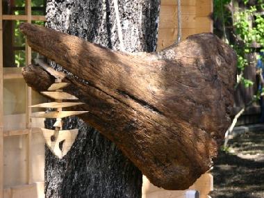 Maison de vacances �/en/au Riga (Lettland)ou appartement ou maison de vacances