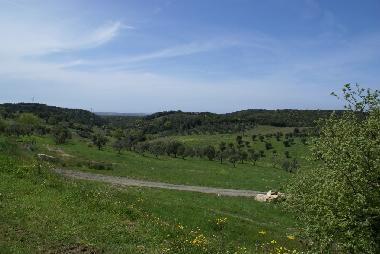 Appartement de vacances /en/au bagno a ripoli (Firenze)ou appartement ou maison de vacances