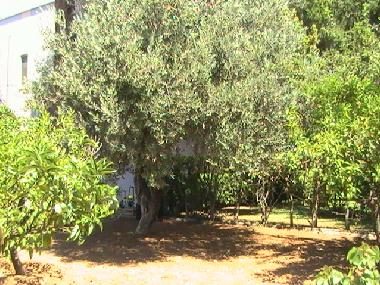 Villa �/en/au Policoro (Matera)ou appartement ou maison de vacances