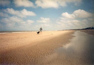 Maison de vacances /en/au Bredene (Flandre)ou appartement ou maison de vacances
