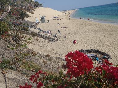 Appartement de vacances /en/au Morro Jable (Fuerteventura)ou appartement ou maison de vacances