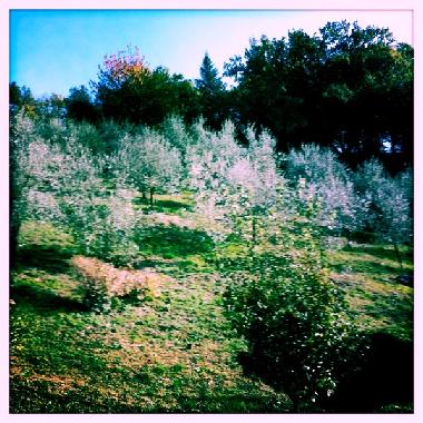 Villa /en/au Terni (Terni)ou appartement ou maison de vacances