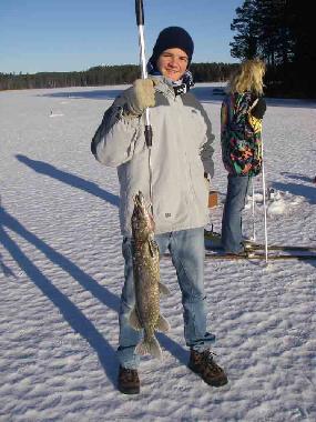 Maison de vacances �/en/au Dala- Jarna (Dalarna)ou appartement ou maison de vacances