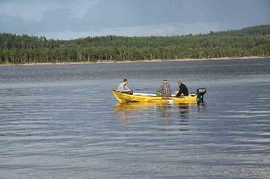 Maison de vacances �/en/au Dala- Jarna (Dalarna)ou appartement ou maison de vacances