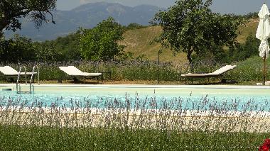 Appartement de vacances �/en/au Cagli (Pesaro e Urbino)ou appartement ou maison de vacances