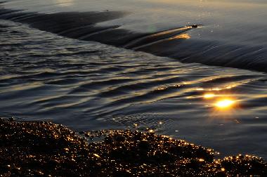 Maison de vacances �/en/au Grand Bend (Ontario)ou appartement ou maison de vacances