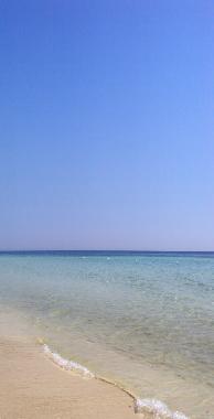 Villa /en/au manduria (Taranto)ou appartement ou maison de vacances