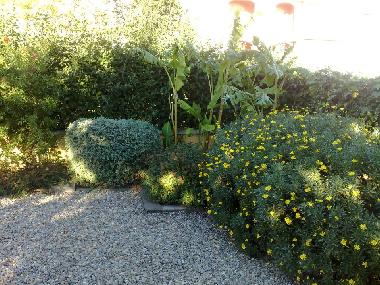 Chalet /en/au miami Playa (Tarragona)ou appartement ou maison de vacances