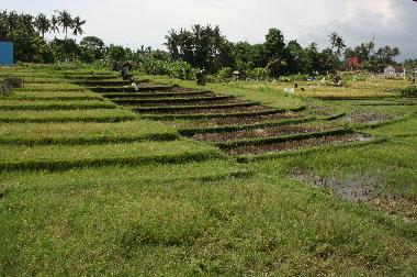 Villa �/en/au Kerobokan (Bali)ou appartement ou maison de vacances