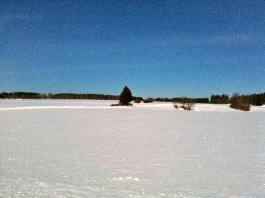 Villa �/en/au Kerobokan (Bali)ou appartement ou maison de vacances