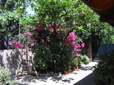 Maison de vacances /en/au Sorrento (Napoli)ou appartement ou maison de vacances