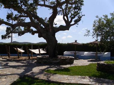Maison de vacances /en/au Cercal (Alentejo Litoral)ou appartement ou maison de vacances