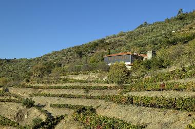 Maison de vacances /en/au Gouves (Norte)ou appartement ou maison de vacances