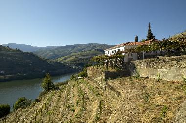 Maison de vacances /en/au Pinho (Norte)ou appartement ou maison de vacances