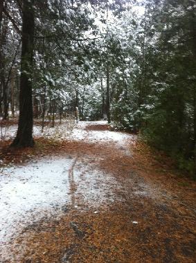 Appartement de vacances �/en/au Boischatel (Quebec)ou appartement ou maison de vacances