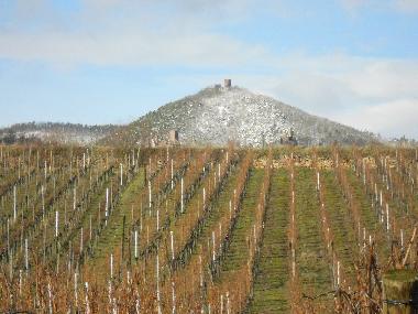 Appartement de vacances �/en/au Hunawirh (Haut-Rhin)ou appartement ou maison de vacances