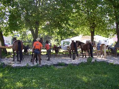 Appartement de vacances �/en/au B�RFINK (Hunsr�ck - Nahe)ou appartement ou maison de vacances