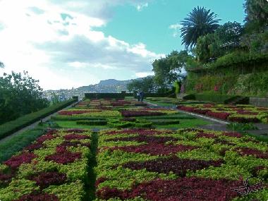 Appartement de vacances �/en/au Cani�o (Madeira)ou appartement ou maison de vacances