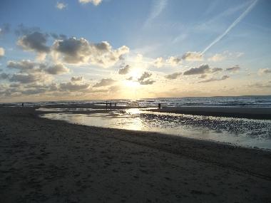Maison de vacances /en/au Julianadorp aan Zee (Noord-Holland)ou appartement ou maison de vacances