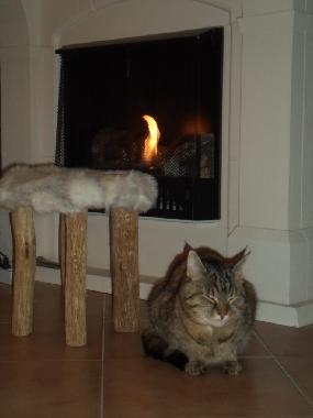 Maison de vacances /en/au Halmstad (Halland)ou appartement ou maison de vacances