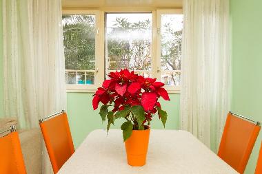 Appartement de vacances �/en/au Split (Splitsko-Dalmatinska)ou appartement ou maison de vacances