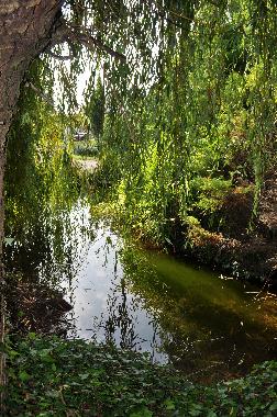 Appartement de vacances �/en/au Marans (Charente-Maritime)ou appartement ou maison de vacances