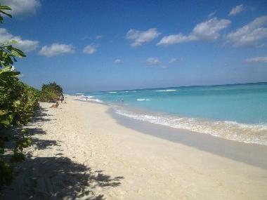 Appartement de vacances /en/au Miami Beach (Florida)ou appartement ou maison de vacances