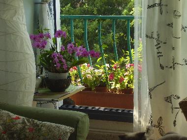 Appartement de vacances �/en/au Tel Aviv (Tel Aviv)ou appartement ou maison de vacances