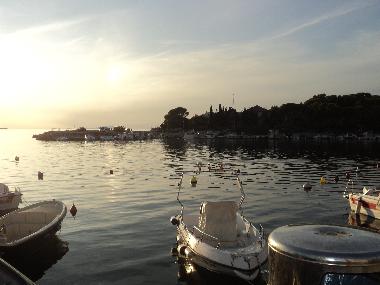 Appartement de vacances /en/au Pag , Mandre (Zadarska)ou appartement ou maison de vacances