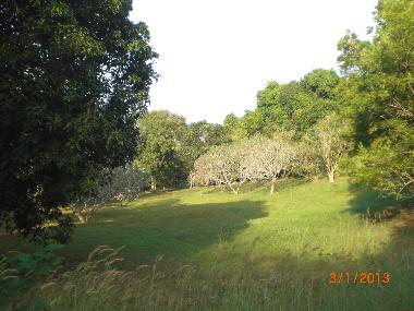 parc