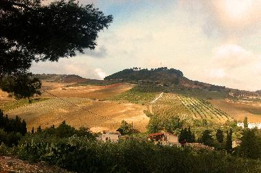 Maison de vacances /en/au Buseto Palizzolo (Trapani)ou appartement ou maison de vacances