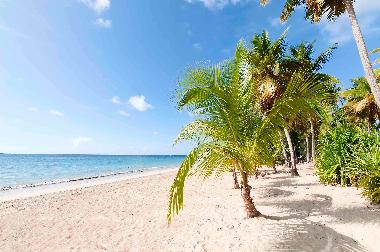 Maison de vacances �/en/au Las Terrenas (Samana)ou appartement ou maison de vacances