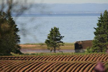 Maison de vacances �/en/au SOUTH PINETTE (Prince Edward Island)ou appartement ou maison de vacances