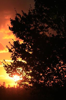 Maison de vacances �/en/au SOUTH PINETTE (Prince Edward Island)ou appartement ou maison de vacances