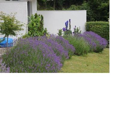 Appartement de vacances /en/au Eutin-Sielbeck (Holsteinische Schweiz)ou appartement ou maison de vacances