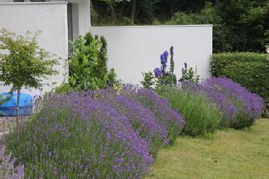 Appartement de vacances /en/au Malente (Holsteinische Schweiz)ou appartement ou maison de vacances
