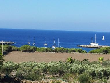 Villa /en/au Favignana (Trapani)ou appartement ou maison de vacances