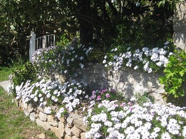 Appartement de vacances /en/au Pomonte (Livorno)ou appartement ou maison de vacances