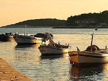 Appartement de vacances /en/au Hvar (Splitsko-Dalmatinska)ou appartement ou maison de vacances