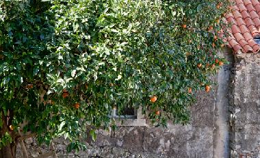 Appartement de vacances /en/au Dubrovnik (Croatie)ou appartement ou maison de vacances