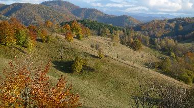 Maison de vacances �/en/au Viseu de Sus (Maramures)ou appartement ou maison de vacances