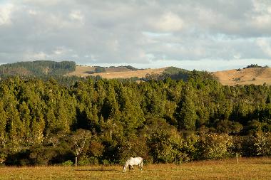 Maison de vacances �/en/au RD2 Oromahoe (Bay of Islands)ou appartement ou maison de vacances