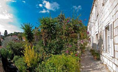 Appartement de vacances /en/au Dubrovnik (Dubrovacko-Neretvanska)ou appartement ou maison de vacances