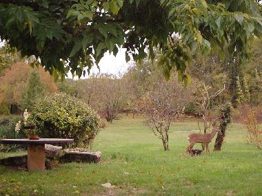Maison de vacances /en/au Montaigu de Quercy (Tarn-et-Garonne)ou appartement ou maison de vacances