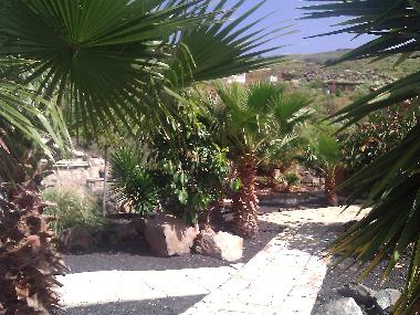 Appartement de vacances /en/au Los Menores (Teneriffa)ou appartement ou maison de vacances