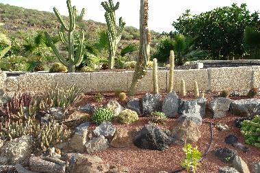 Appartement de vacances �/en/au Los Menores (Teneriffa)ou appartement ou maison de vacances